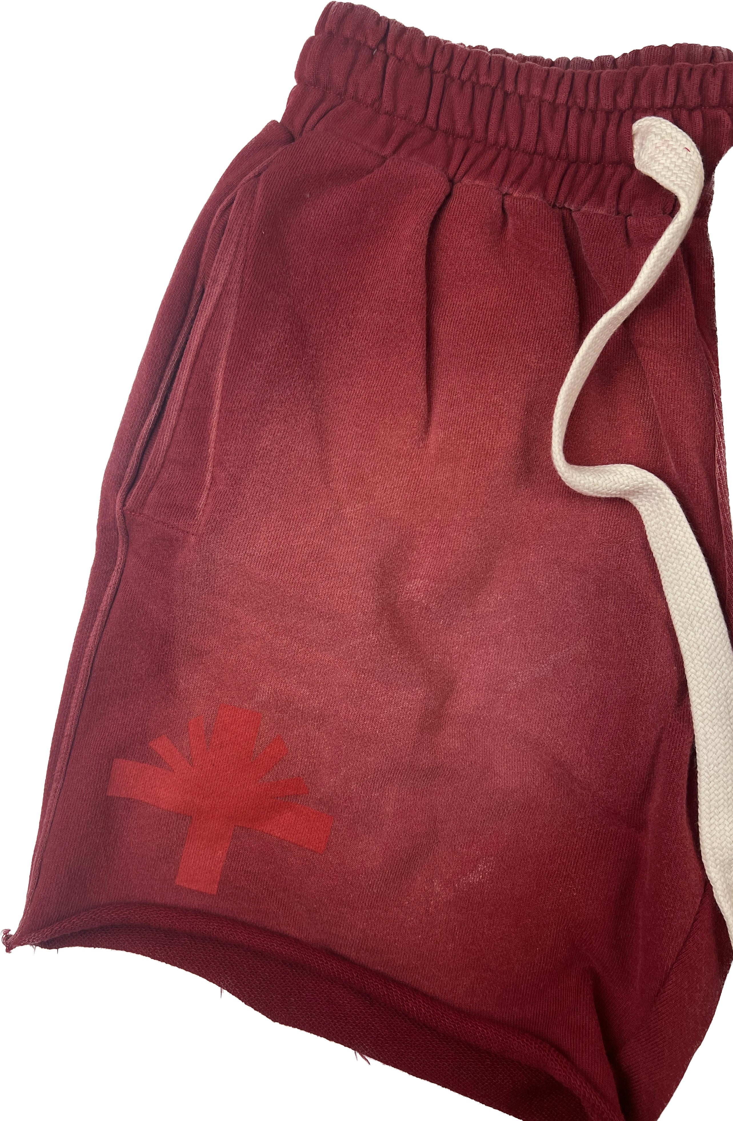 Vertabrae Emblem Shorts