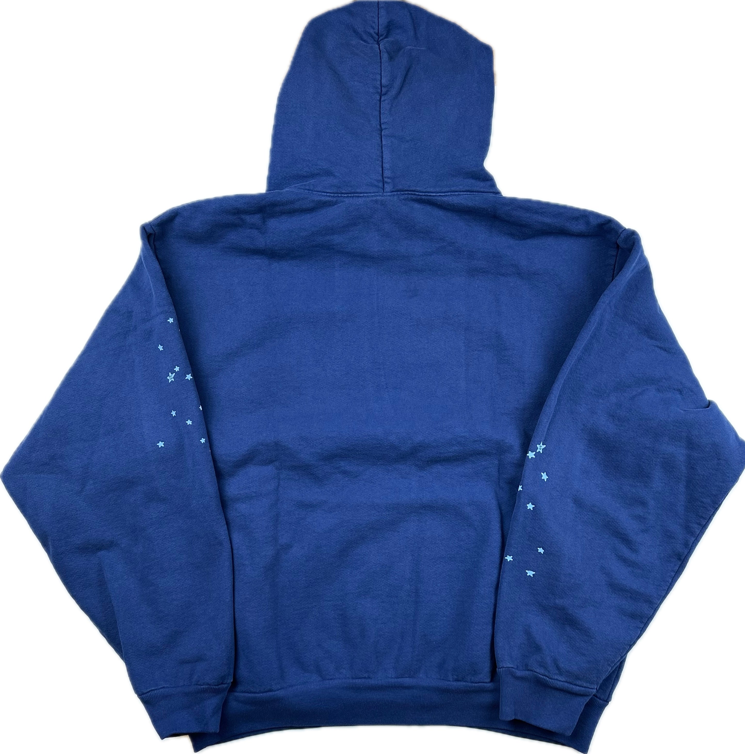 Sp5der OG Web Hoodie