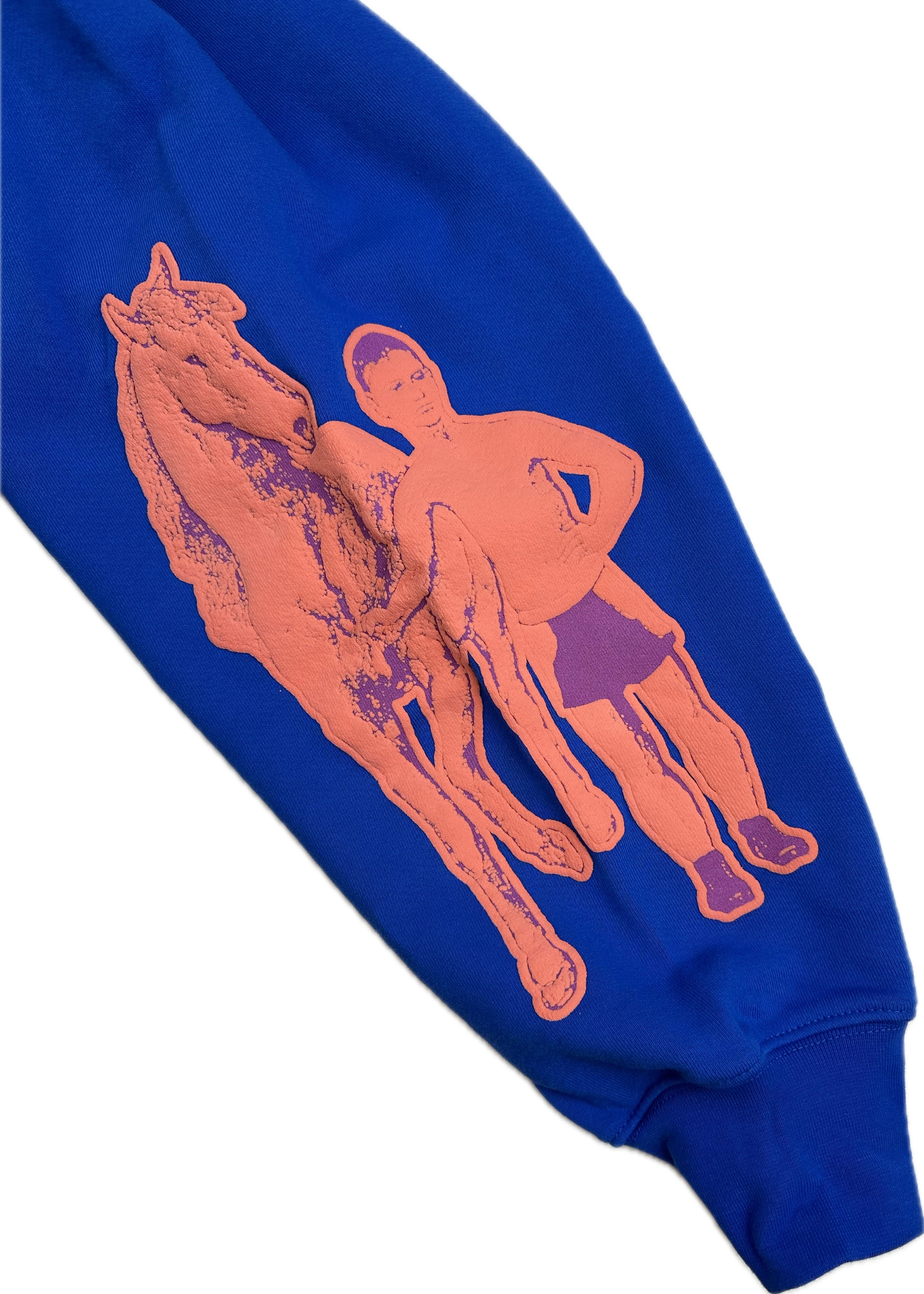 Drake For All The Dogs Hoodie