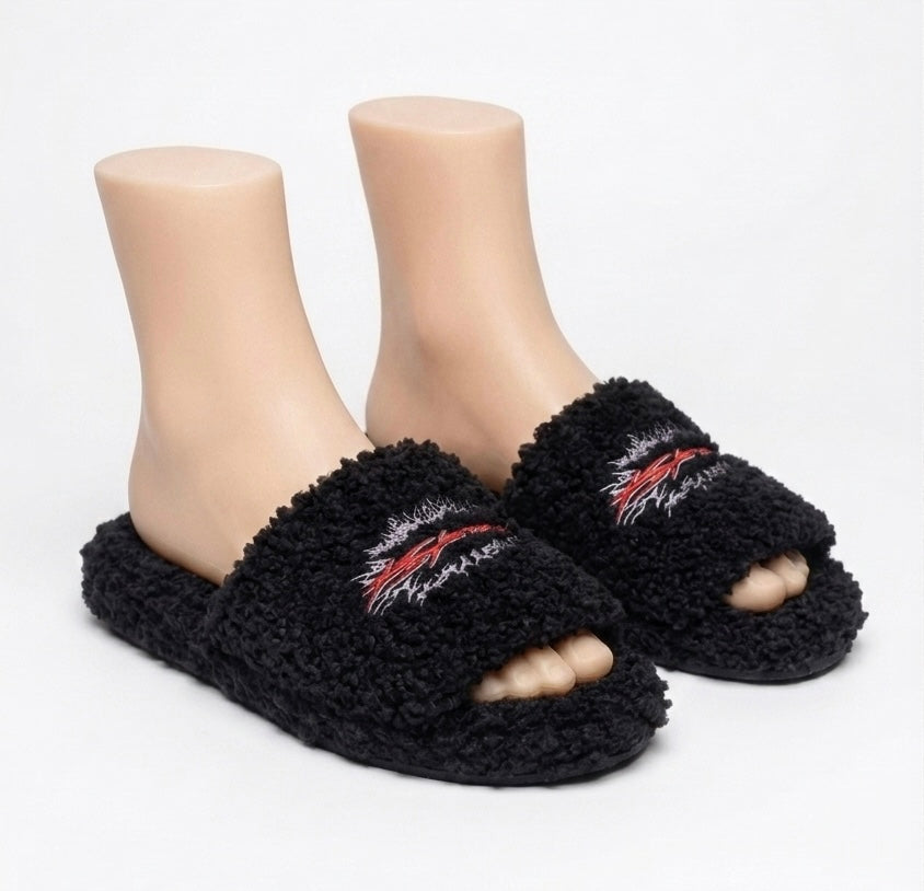 HS Hstar Slides