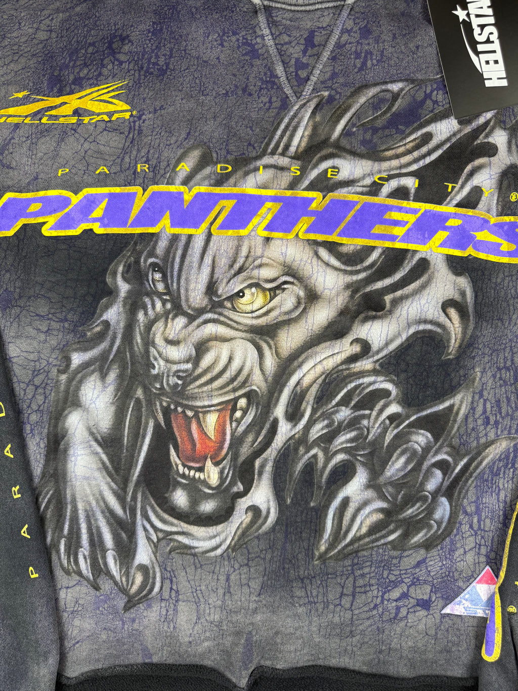 HS Panthers Crewneck