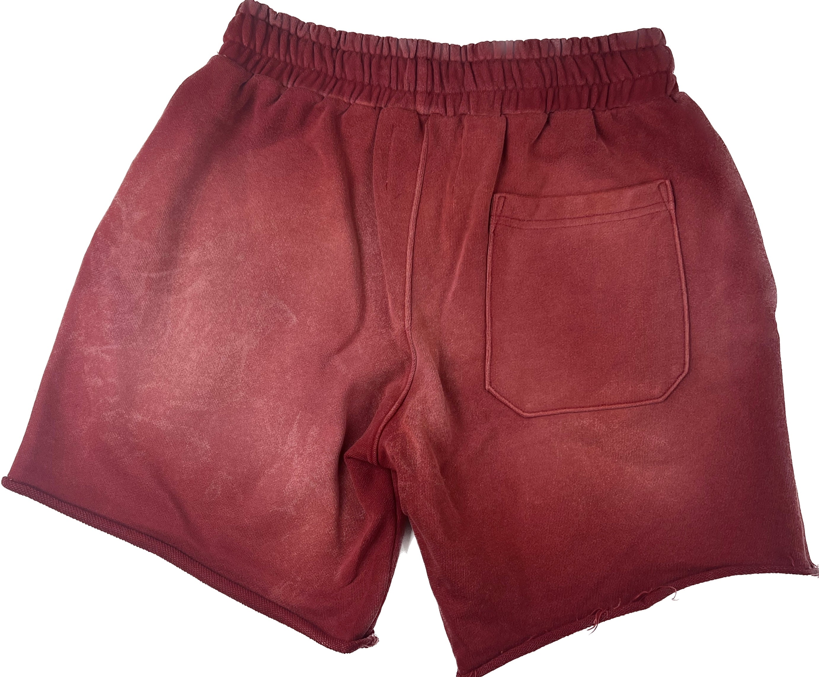 Vertabrae Emblem Shorts