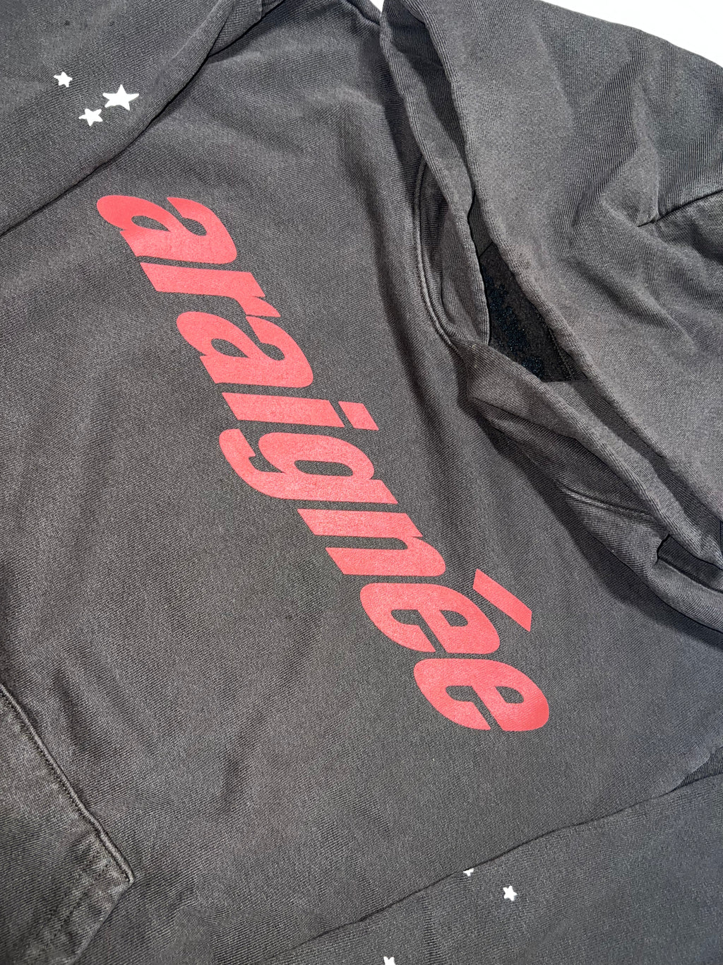 Sp5der Araignee Hoodie