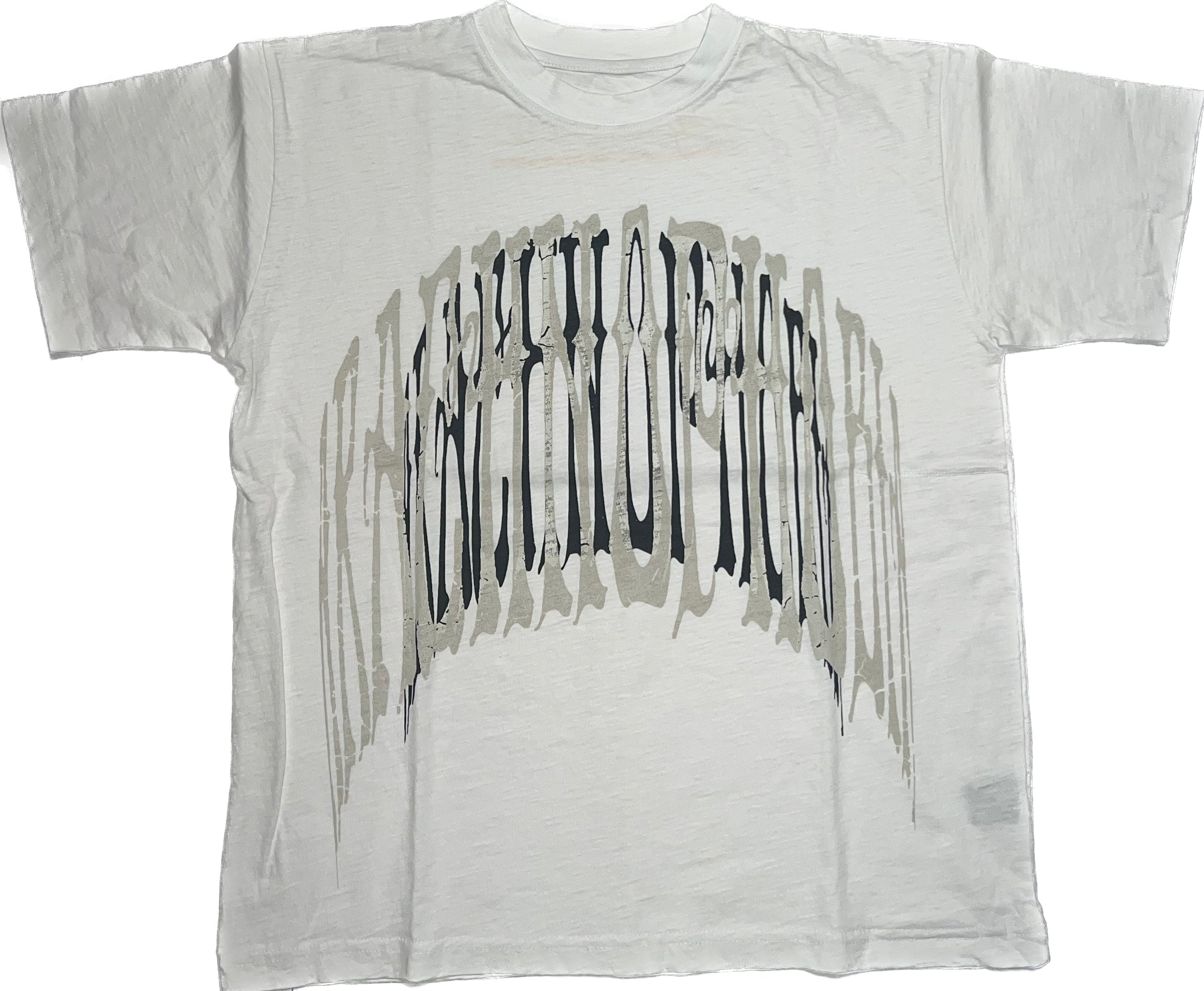 Sp5der Arachnophobia T-shirt